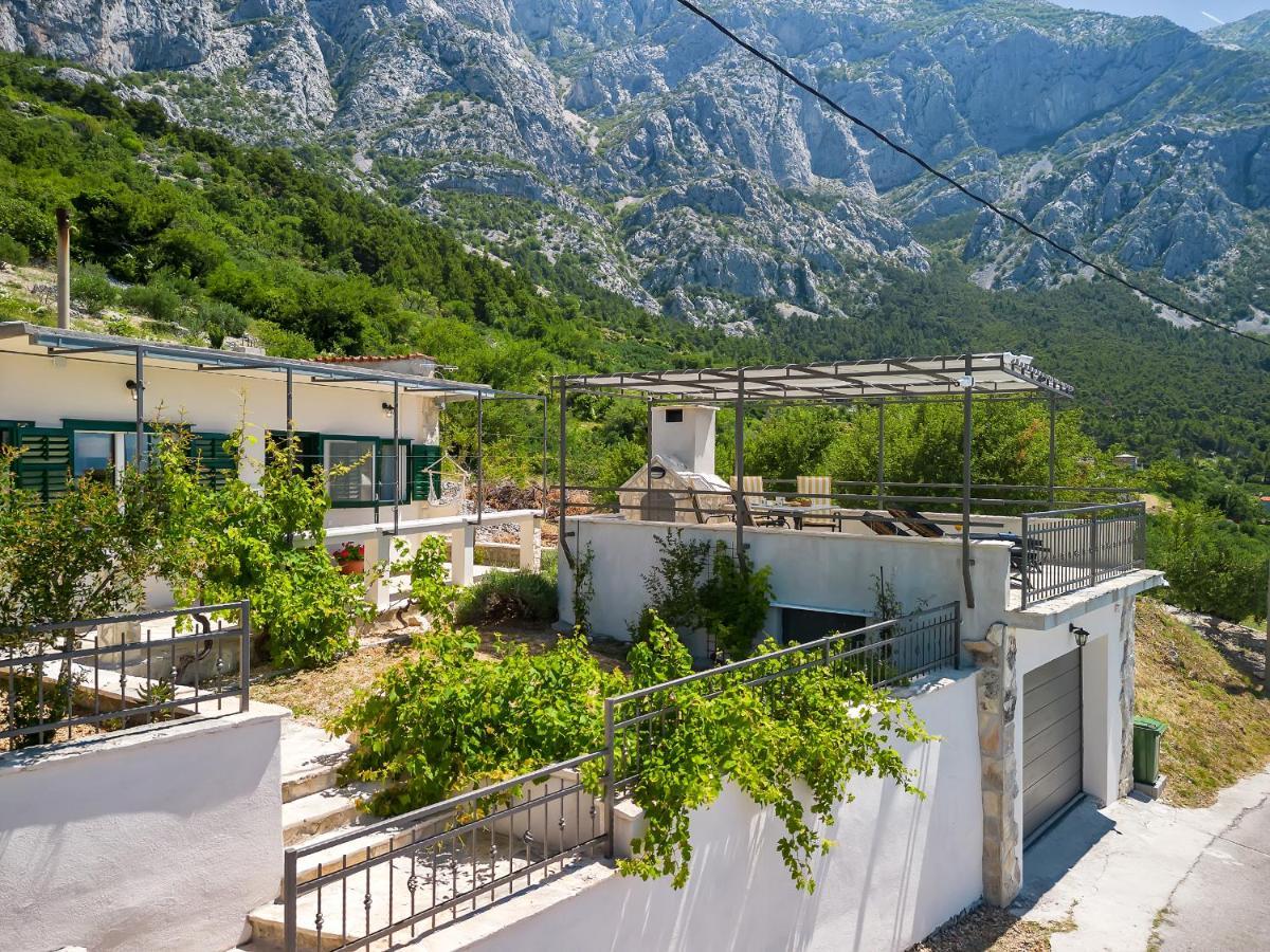 Baskovic In Nature Park
